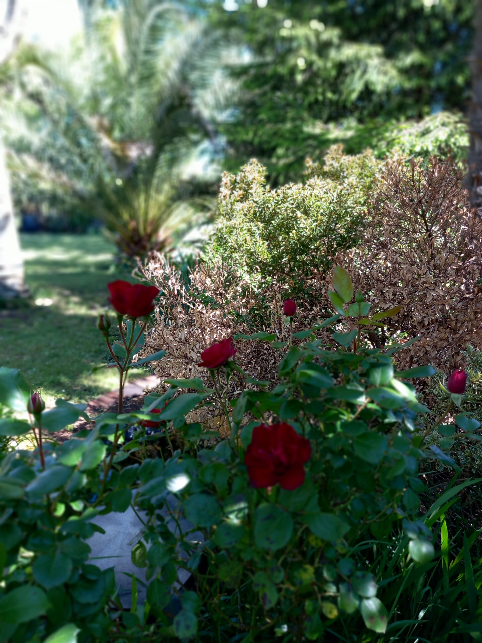 20240503_114125 VitaLife Energie qualité de vie