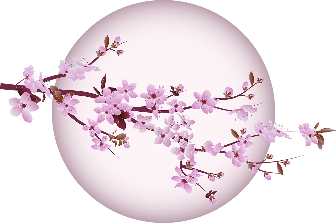 cherry-blossom-5439750_1280 Vitalife Energie qualité de vie